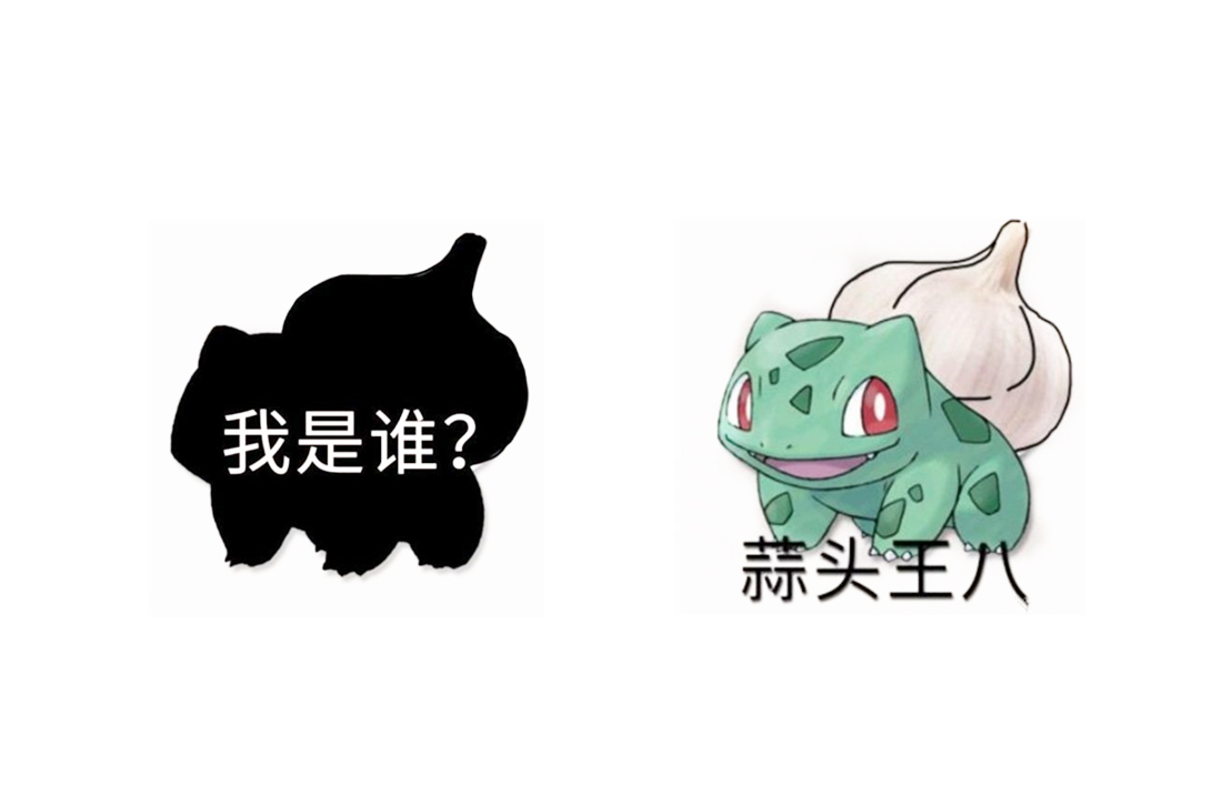 从精灵宝可梦的蒜头王八聊一聊玩过的游戏黑话