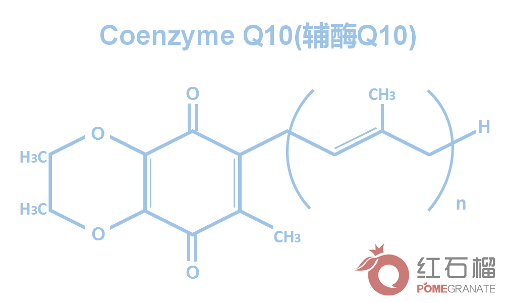 1958年被卡鲁福鲁卡斯博士认定其化学结构,当时他提出辅酶q10对心脏机