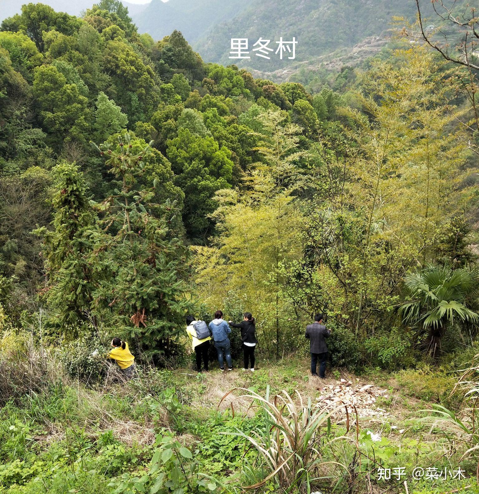 蔡品方(1937年～2021年)郑招莲(配偶,蔡大昌(长子,蔡雅芬(大女儿)