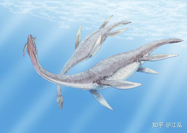 蛇颈龙属( plesiosaurus)是生存于距今1.99至1.