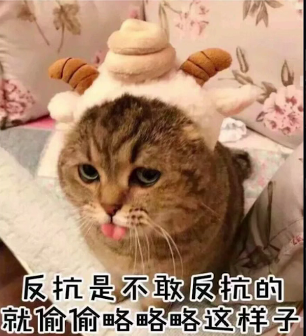 有没有男生用的跟女朋友聊天的表情包?