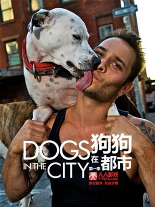 [美剧] 狗狗在都市/dogs in the city 全集第1季第1集剧本完整版