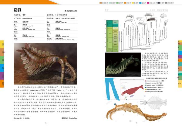 《生物简史图鉴》寒武纪之加拿大1(伯吉斯页岩动物群)