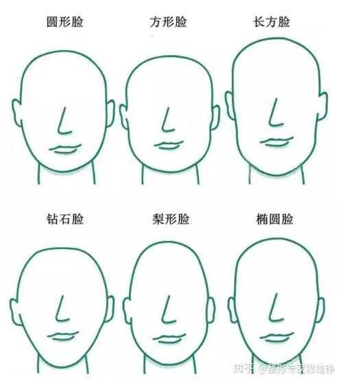 波契(boych)将人类的脸型分为十种,即: (1)圆形脸型; (2)椭圆形脸型