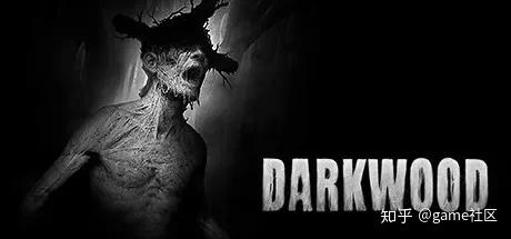 阴暗森林 darkwood 【简介】:阴暗森林darkwood中文版带给玩家非常