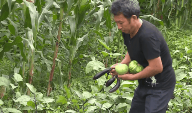 "在村里人看来,袁怀强是个热心人,不仅花时间照顾家人,而且街坊邻里有