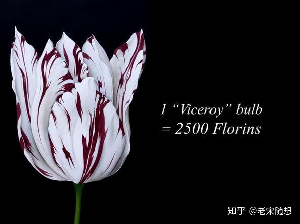 金融投资400年之荷兰郁金香最浪漫的泡沫