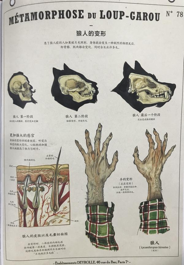 并且详细介绍了狼人的变形过程.