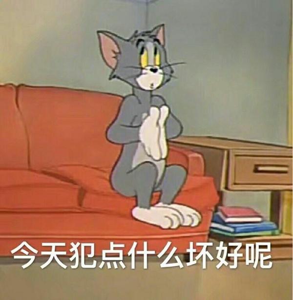 有什么好玩的猫和老鼠表情包?