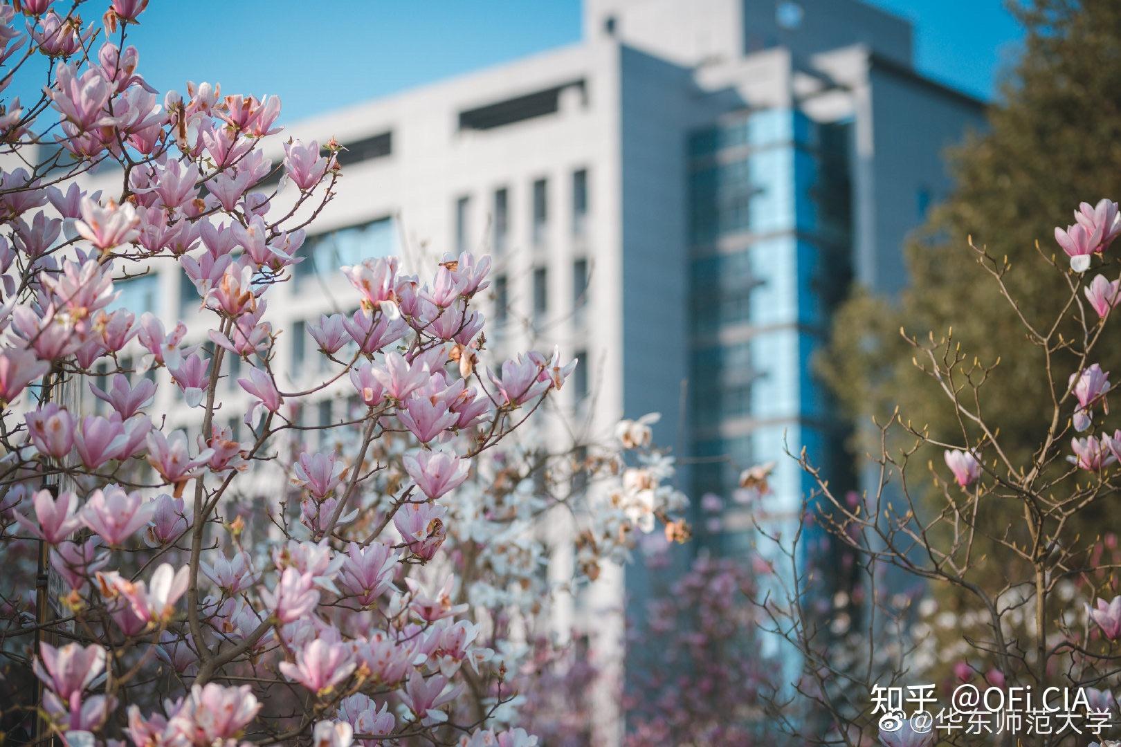 我想考华东师范大学大家可以发一些大学内部照片激发一下我的斗志吗