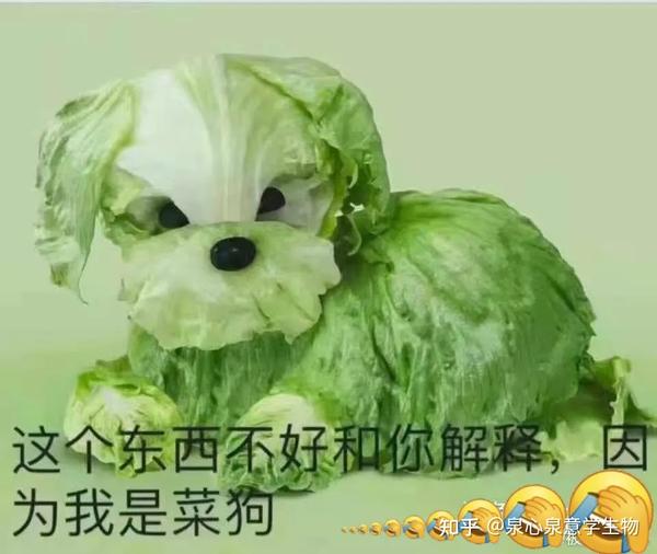 生物老师打算用表情包打败你!
