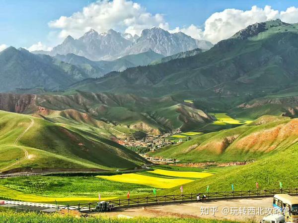 山头底部麦浪翻滚,油菜花香,一派高原河谷农业的农家景象.