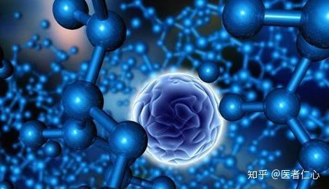 这里面所说的岁外白血病主要就是中枢神经系统和睾丸白血病
