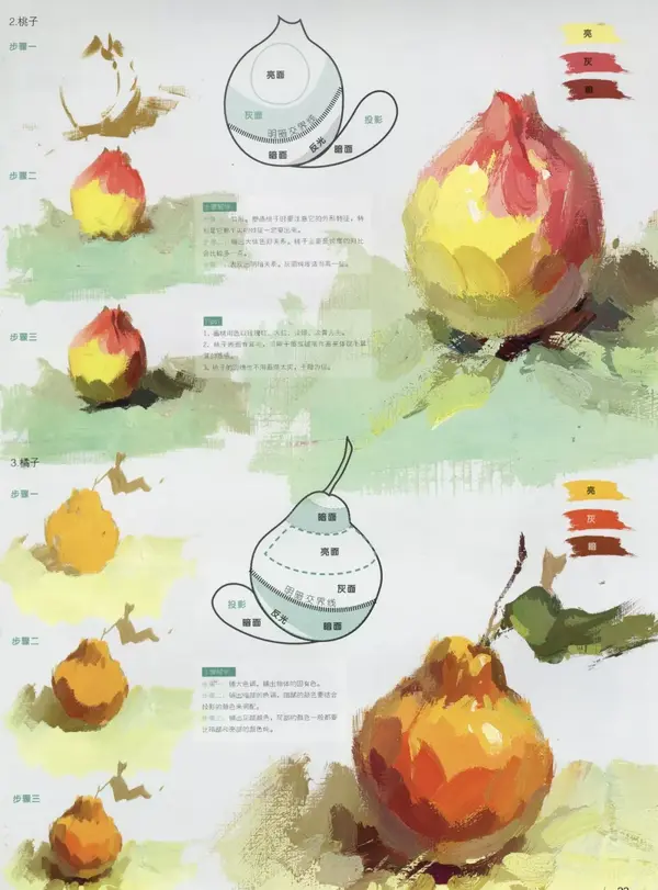 色彩课堂|静物单体范画【蔬菜/水果/食品】