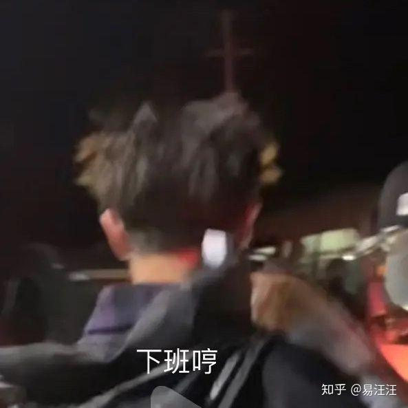 表情包明星哈哈哈哈