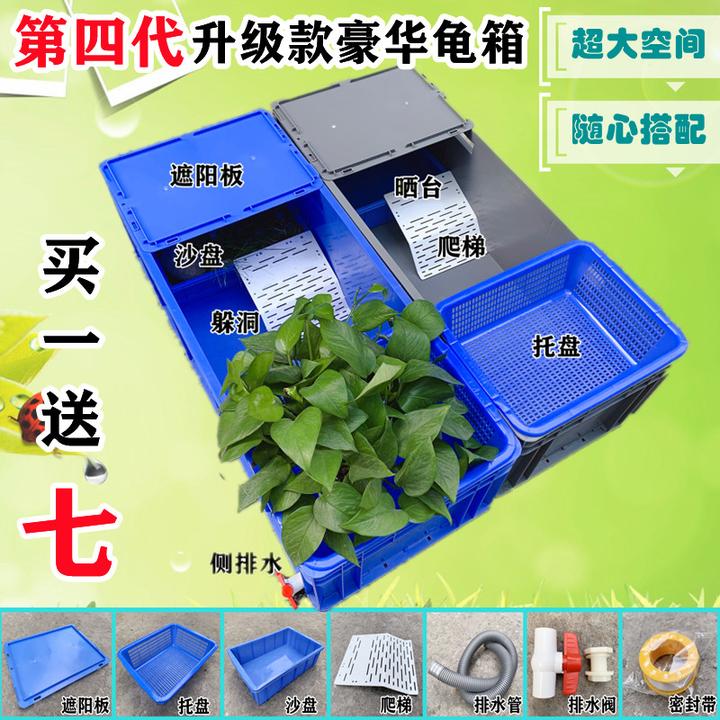 如何布置周转箱龟缸