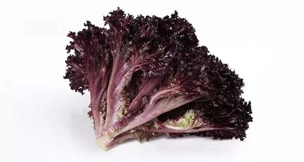 紫色的皱叶生菜