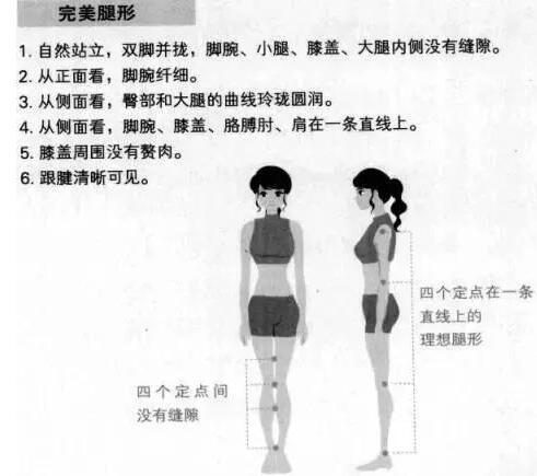 首先来看看完美的腿型的标准是什么吧?