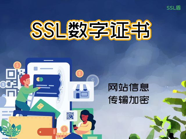 comodo ip ssl数字证书介绍