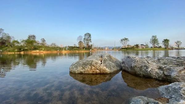 东安湖公园新景:春赏桃花,夏看荷田