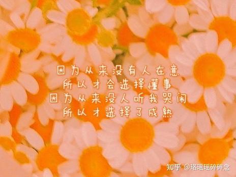 你这么懂事一定吃不到糖吧