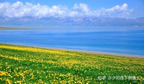 新疆伊犁暑假必去旅游景点,赛里木湖!