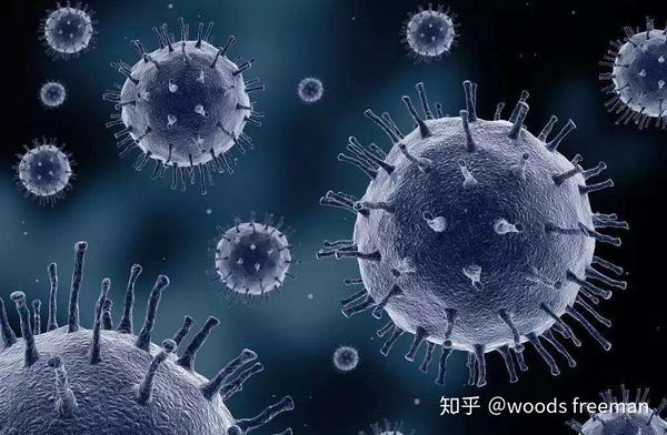 麻疹病毒感染降低身体已经存在的其他病原微生物抗体