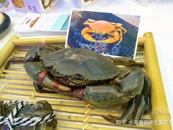 海南100味5海南四大名菜之和乐蟹