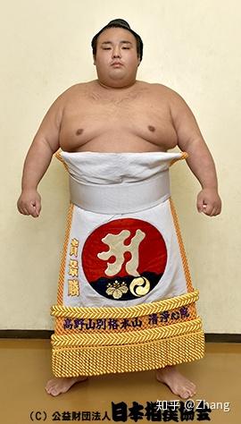 千代富士第一,贵乃花第二,绝对成绩好于以上两位的蒙古人白鹏第三