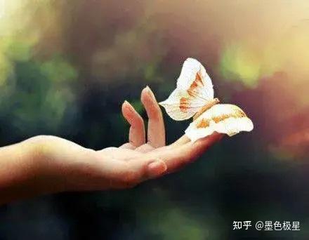 剩下的也该放下了.人嘛,总要学会长大,学会和解,学会往前看.