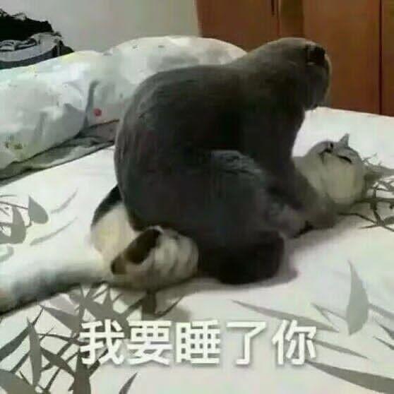 你们撩对象都用什么表情包啊?