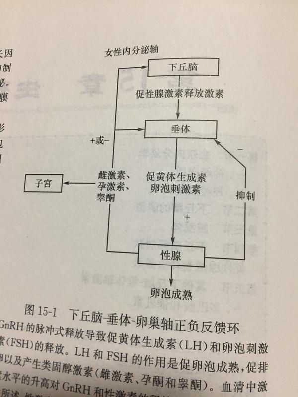 不排卵和多囊卵巢综合症引起的异常子宫出血