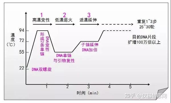 万字干货关于pcr基因扩增仪的一切