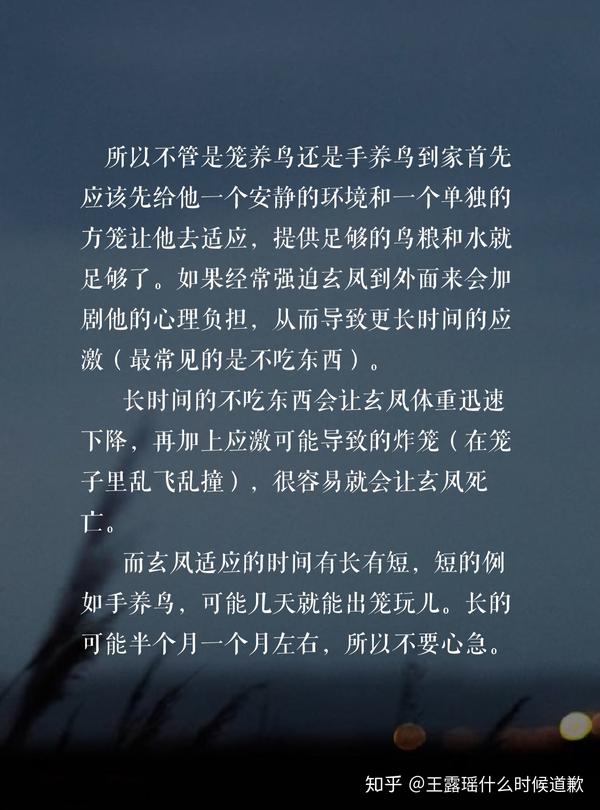 为什么说王泡芙虐鸟