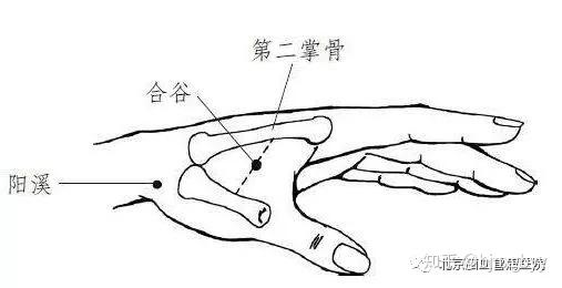 心绞痛发作时,患者常伴有胸部压迫感和窒息感.