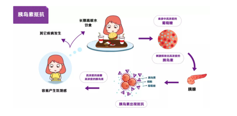 糖尿病为什么胰岛素抵抗会损害葡萄糖耐受性