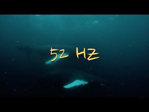 永恒的52赫兹