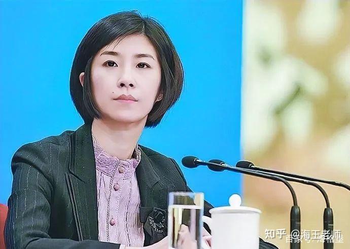 外交部张京等四大美女翻译,都有什么来头?