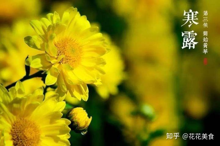 2021年10月08日 09:38:53迎来寒露节气.