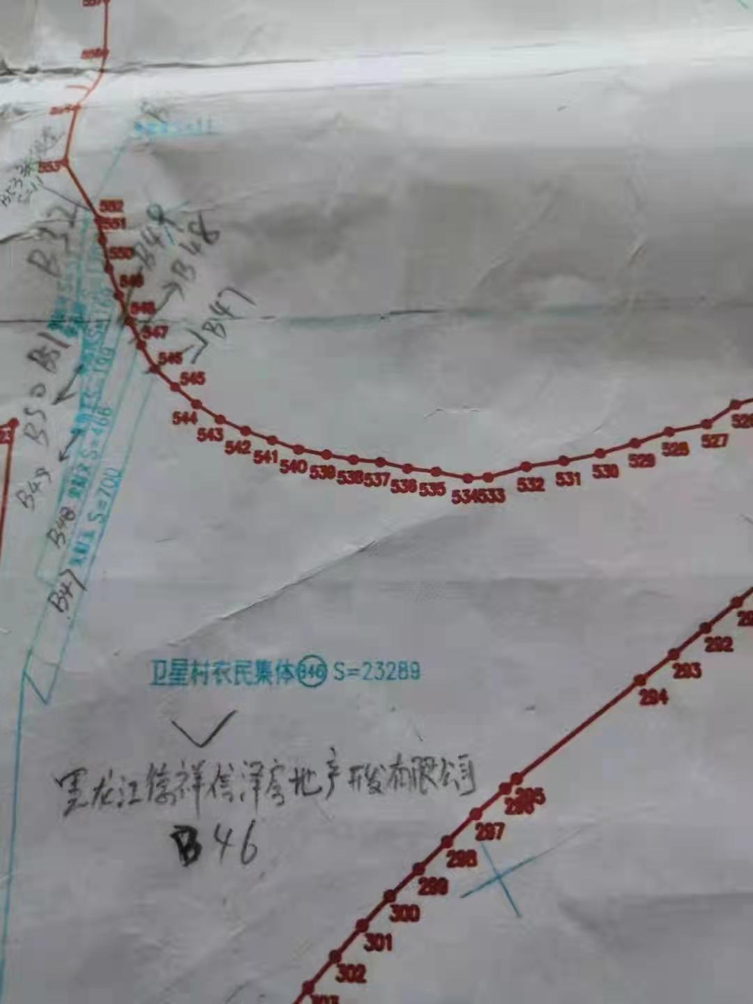 南岗区王岗镇卫星村地处哈尔滨市西郊,随着哈尔滨西站于2009年7月5日