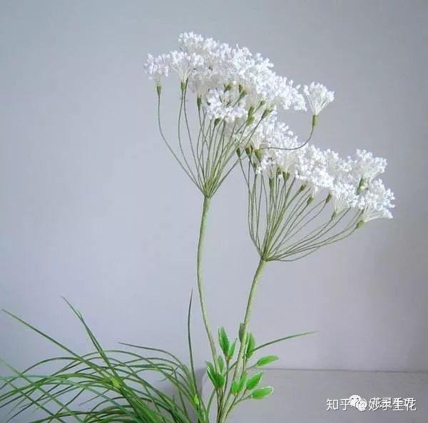 33种花艺常见花材介绍(多图)