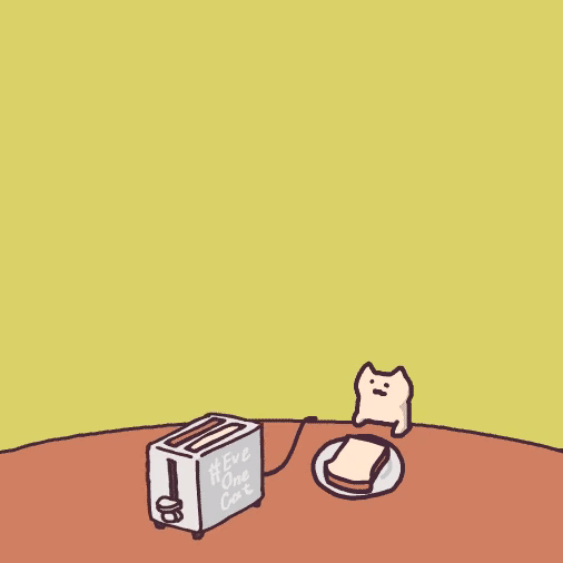 今日推荐表情包每日一喵eveoncat