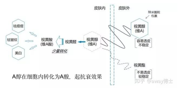 护肤品中抗坏血酸和视黄醇可以共存吗