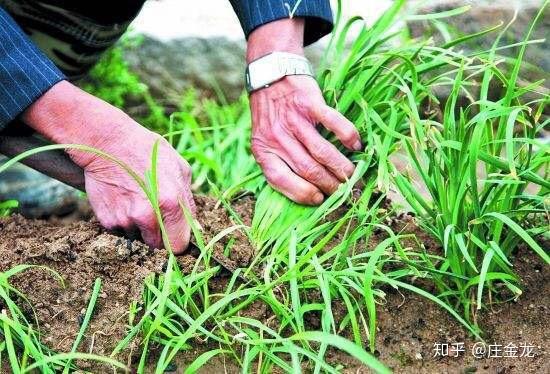 宁波华侨豪生小姐_华侨豪生自助餐团购_华侨生何去何从