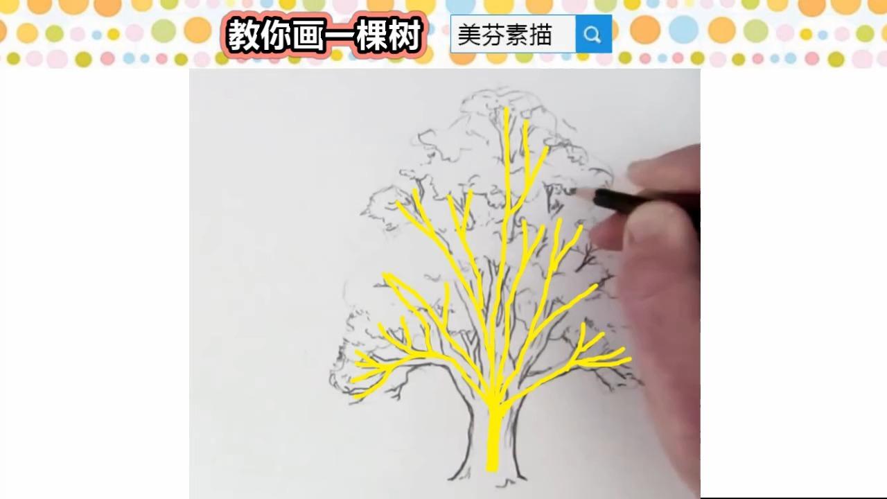 初学者如何画一颗大树素描画?树木的画法顺序和技巧!