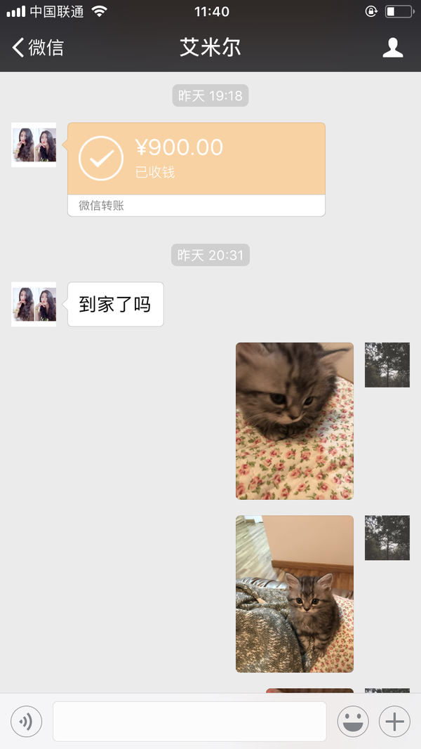 买猫回家一宿后,卖猫的让我加钱,有微信截图?