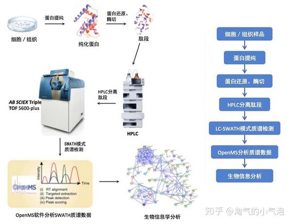 简述定量蛋白质组学技术