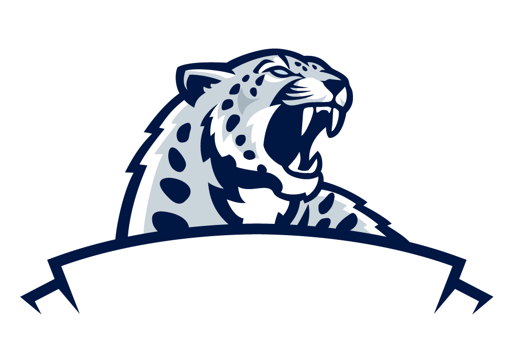 logo设计雪豹足球俱乐部logo设计