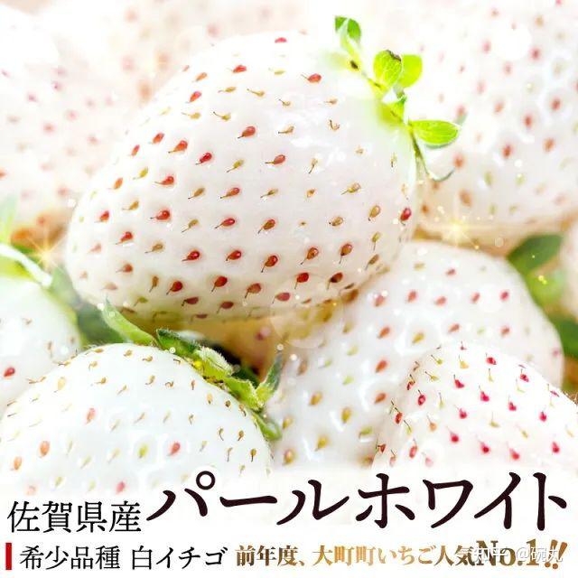 白草莓和红草莓有什么区别 知乎