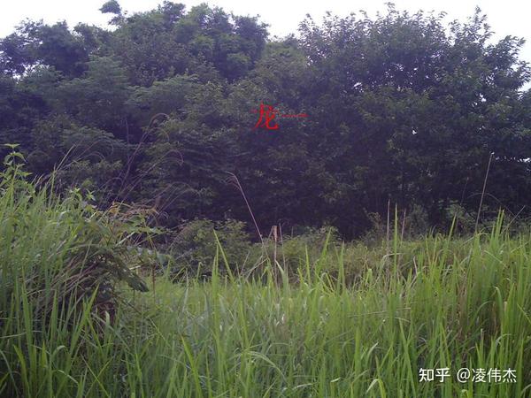 一例阴宅:八运申山寅向,上山下水零正颠倒,却发财官.